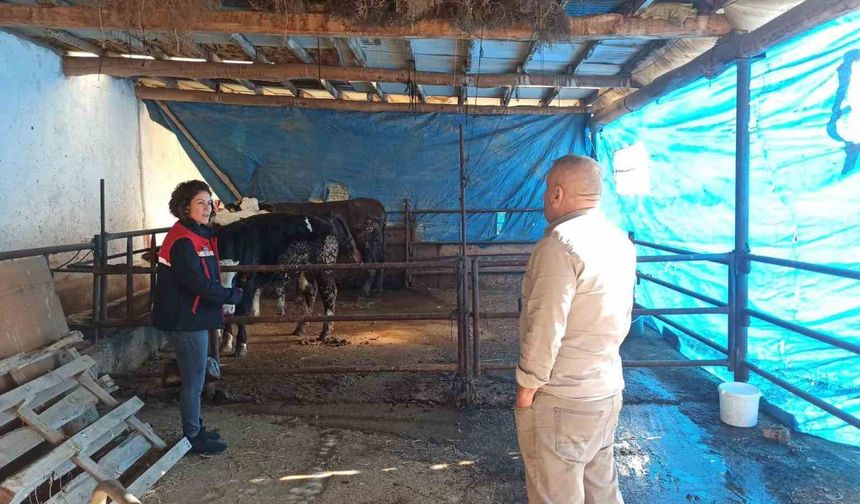 ÇMVA çalışmaları devam ediyor