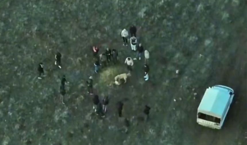Köpek dövüştüren şahıslara jandarmadan dronlu baskın