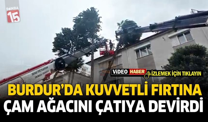 Burdur'da Fırtına Çam Ağacını Çatıya Devirtti