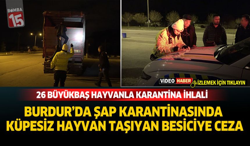 Burdur'da Şap Karantinasında Küpesiz Hayvan Taşıyan Besiciye Ceza