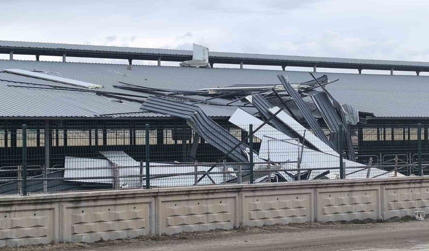 Şiddetli rüzgar işyerinin çatısını ucurdu