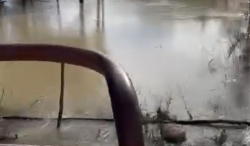 Antalya Serik'te taşan ırmak suları tarım arazileri ve caddeleri sular altında bıraktı