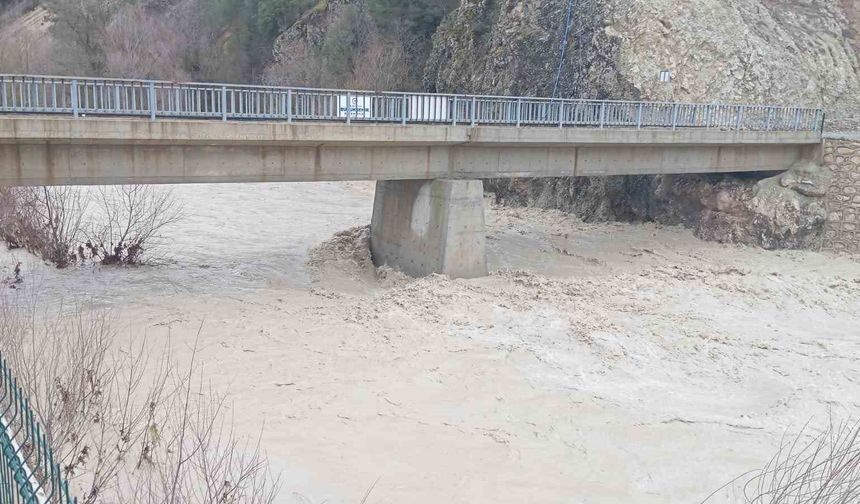 Denizli'de su seviyesi artan derelerde köprüler zarar gördü