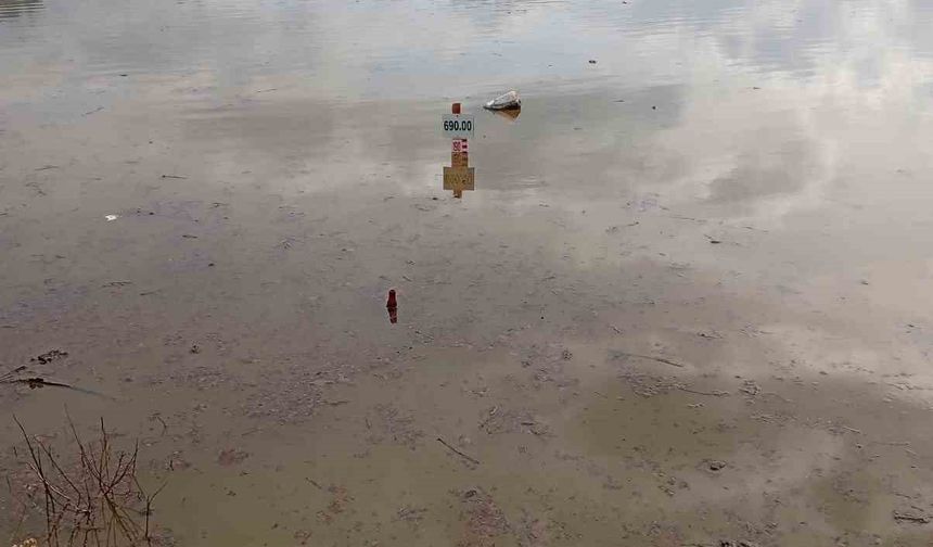 Göletler son yağışlarla doldu