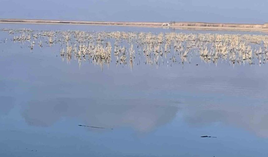 Her damlanın Eber Gölü'ne ulaşması için topyekun mücadele