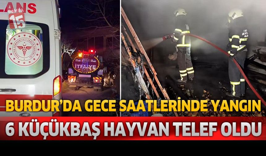 Burdur'da Gece Saatlerinde Yangın 6 Küçükbaş Hayvan Telef Oldu
