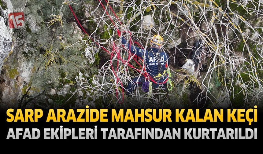 Burdur'da Sarp Arazide Mahsur Kalan Keçi AFAD Ekiplerince Kurtarıldı