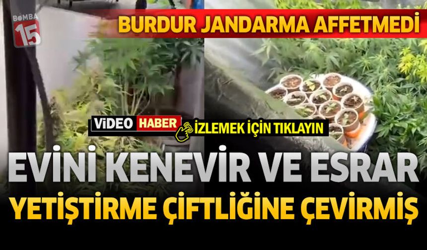 Burdur Jandarma Affetmedi: Evini Kenevir ve Esrar Yetiştirme Çiftliğine Çevirmiş