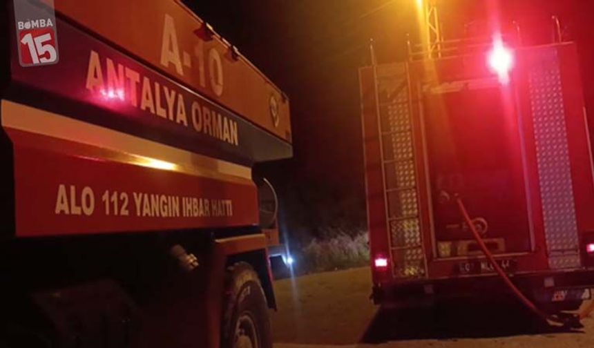 Antalya’da Orman Yangını: 1 Dönüm Alan Zarar Gördü