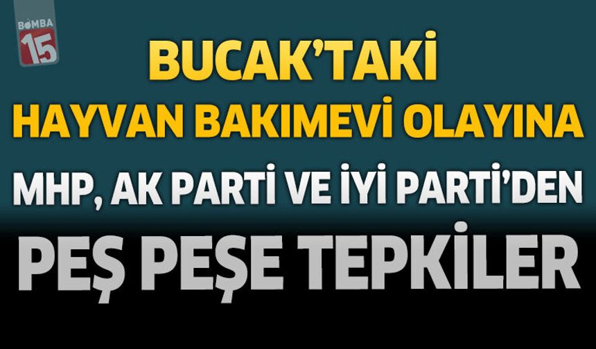 Bucak'taki Hayvan Bakımevi Olayına MHP, AK Parti ve İYİ Parti'den Peş Peşe Tepkiler