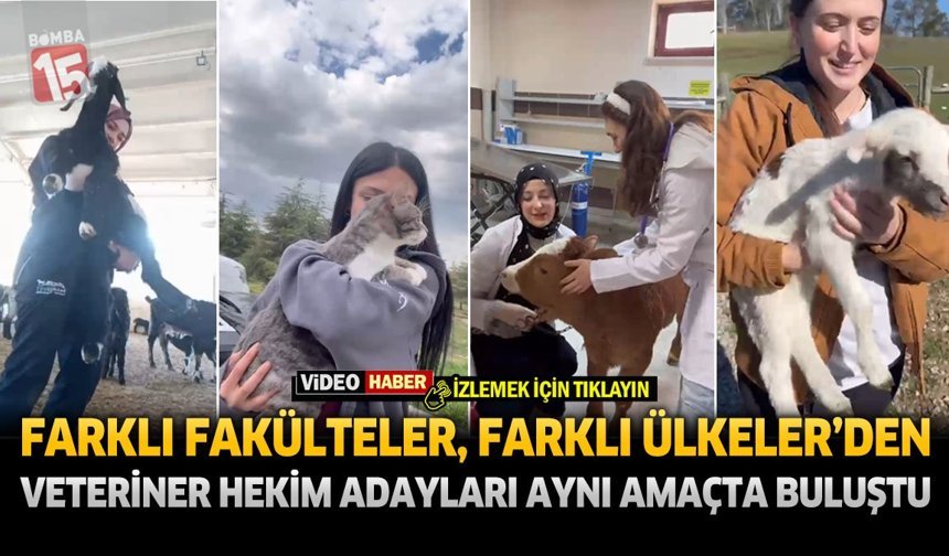 Farklı Ülkelerden Veteriner Hekim Adayları Aynı Amaçta Buluştu