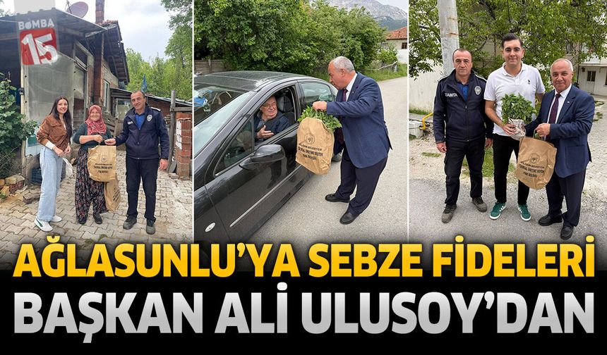 Ağlasunlu'ya Sebze Fideleri Başkan Ali Ulusoy'dan