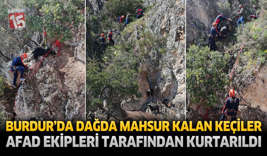 Burdur’da Dağda Mahsur Kalan Keçiler AFAD Ekipleri Tarafından Kurtarıldı