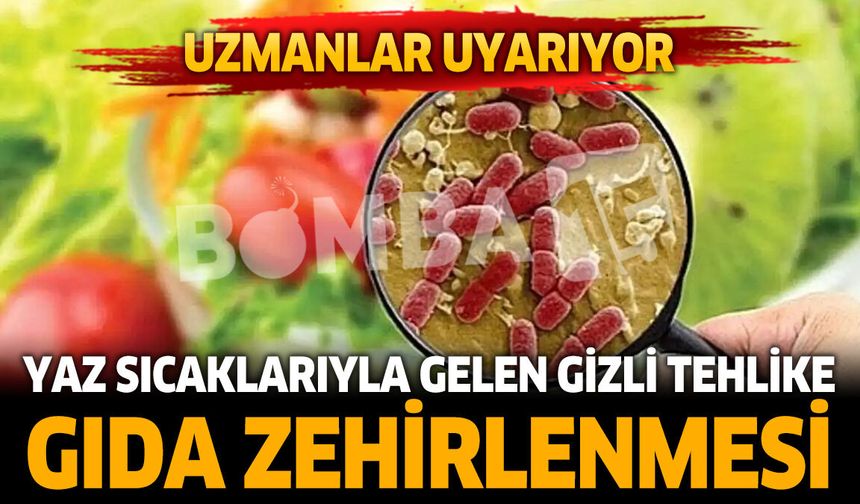 Yaz Aylarında Gıda Zehirlenmelerine Karşı Uzmanlardan Uyarı