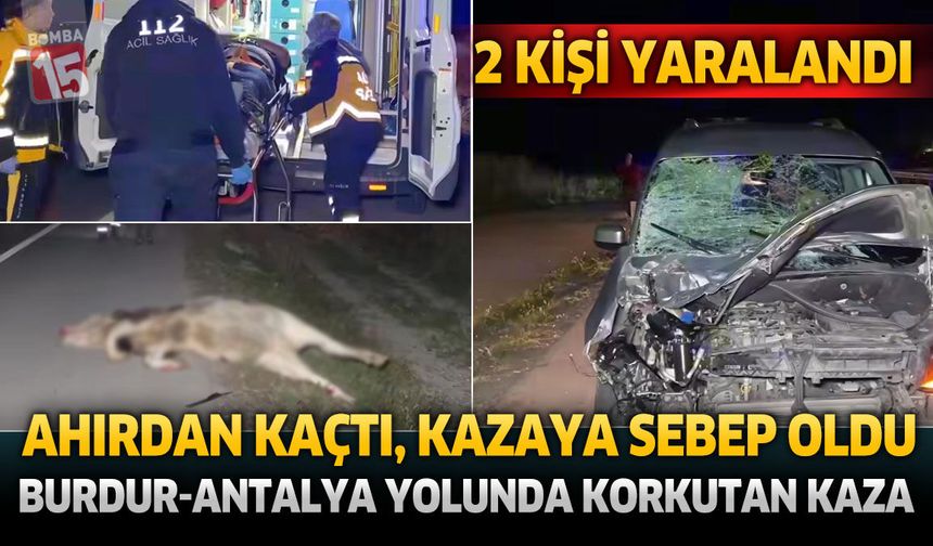 Ahırdan Kaçtı, Kazaya Sebep Oldu: Burdur-Antalya Yolunda Korkutan Kaza 2 Kişi Yaralandı