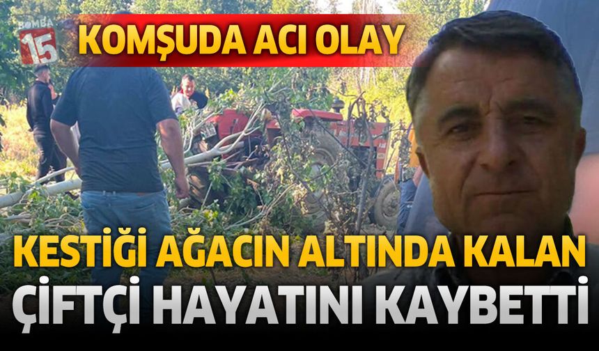 Komşuda Acı Olay: Kestiği Ağacın Altında Kalan Çiftçi Hayatını Kaybetti