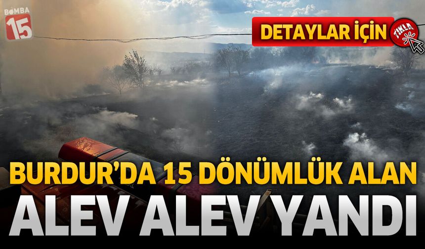Burdur'da 15 Dönümlük Alan Alevlere Teslim Oldu