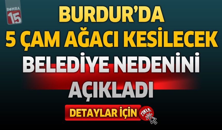 Burdur'da 5 Çam Ağacı Kesilecek! Belediye Gerekçesini Açıkladı