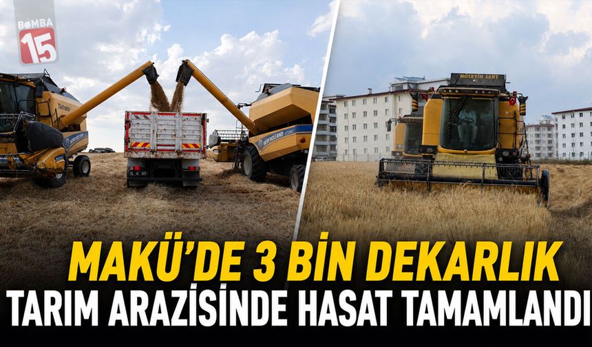 MAKÜ’de 3 Bin Dekarlık Tarım Arazisinde Hasat Tamamlandı