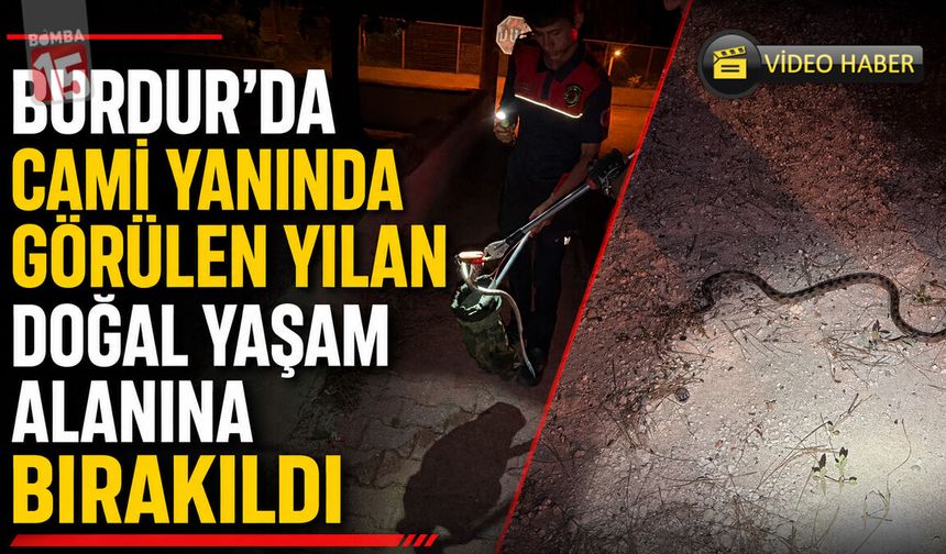 Burdur’da Cami Yanında Görülen Yılan Doğal Yaşam Alanına Bırakıldı
