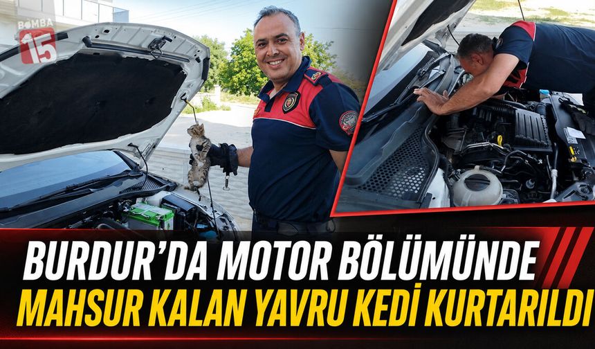 Burdur’da Motor Bölümünde Mahsur Kalan Yavru Kedi Kurtarıldı