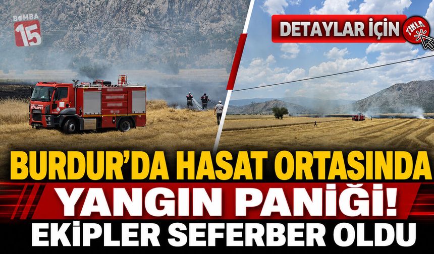 Burdur'da Hasat Ortasında Yangın Paniği! Ekipler Seferber Oldu