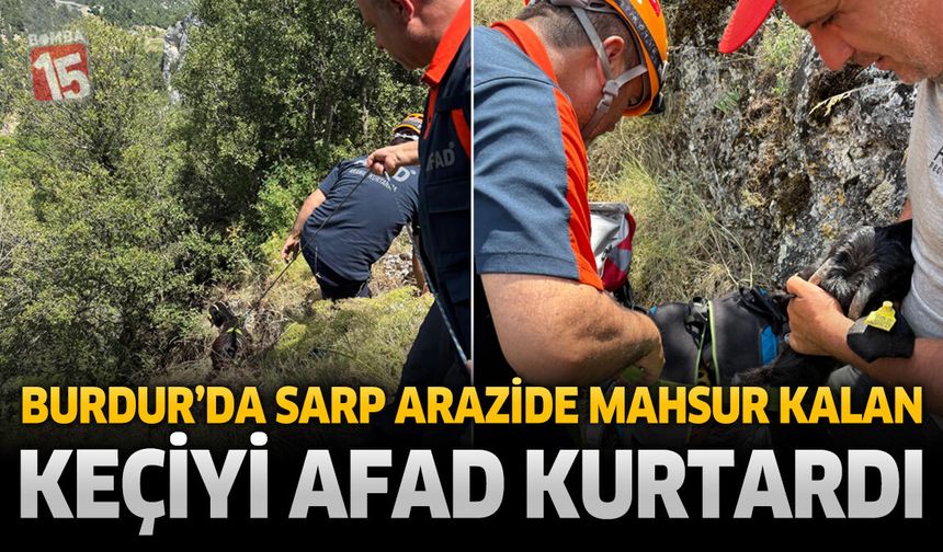 Burdur’da Sarp Arazide Mahsur Kalan Keçiyi AFAD Kurtardı