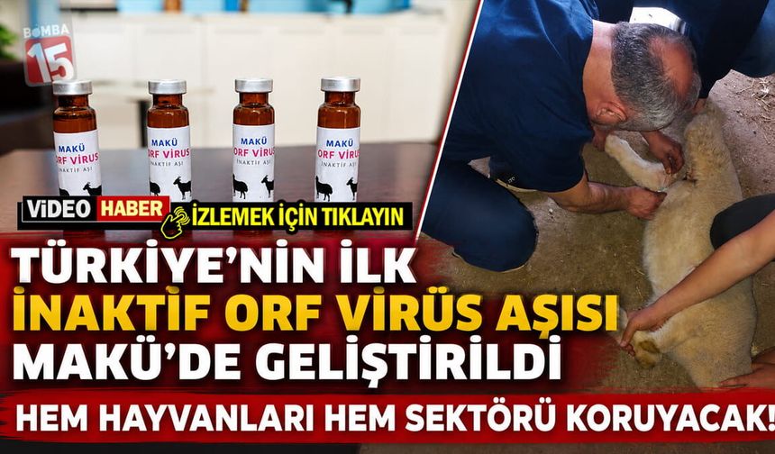 Türkiye’nin İlk İnaktif Orf Virüs Aşısı MAKÜ’de Geliştirildi