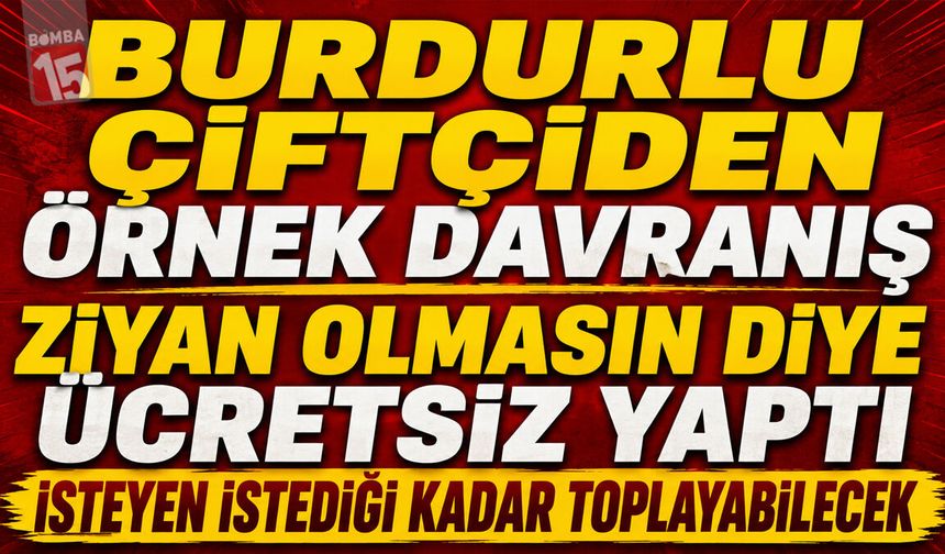 Burdurlu Çiftçiden Örnek Davranış: Ziyan Olmasın Diye Ücretsiz Yaptı! İsteyen İstediği Kadar Toplayabilecek