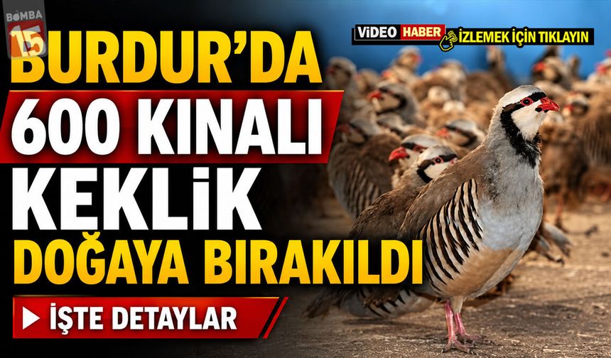 Burdur’da 600 Kınalı Keklik Doğaya Bırakıldı