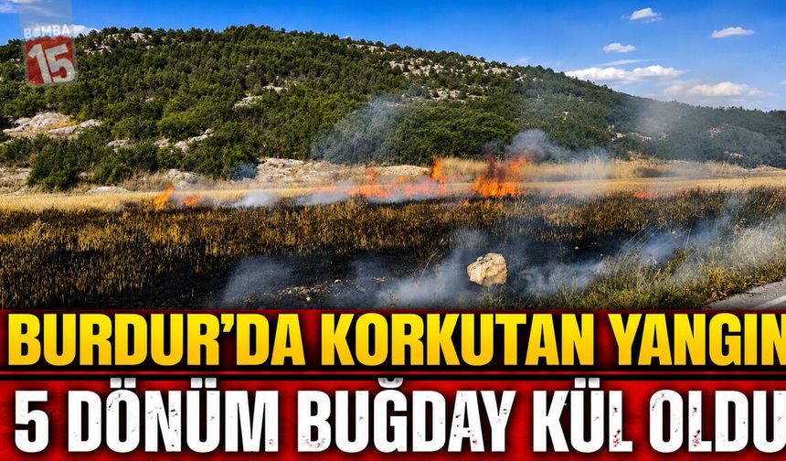 Burdur'da Korkutan Yangın: 5 Dönüm Buğday Kül Oldu