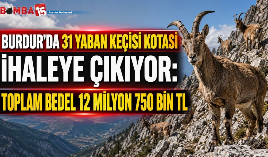 Burdur’da 31 Yaban Keçisi Kotası İhaleye Çıkıyor: Toplam Bedel 12 Milyon 750 Bin TL