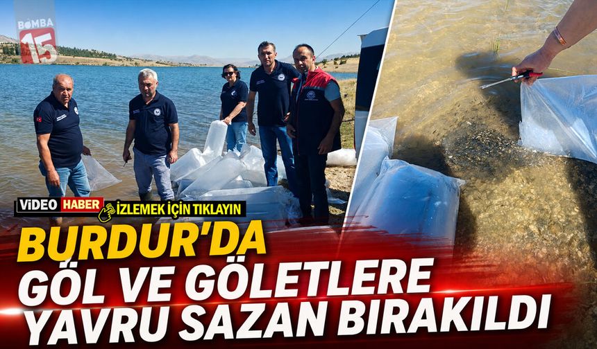 Burdur’da Göl ve Göletlere Yavru Sazan Bırakıldı