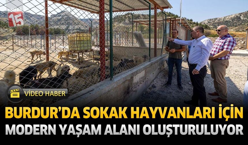 Burdur’da Sokak Hayvanları İçin Modern Yaşam Alanı Oluşturuluyor