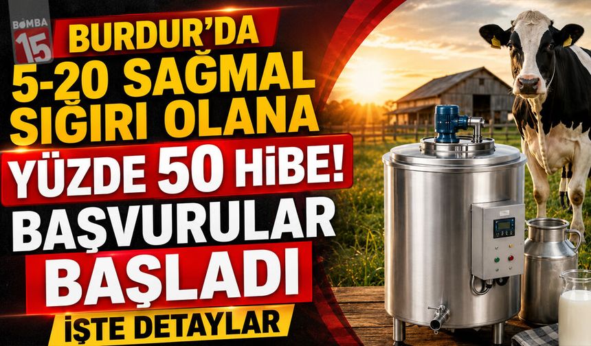 Burdur'da 5-20 Sağmal Sığırı Olana Yüzde 50 Hibe! Başvurular Başladı İşte Detaylar