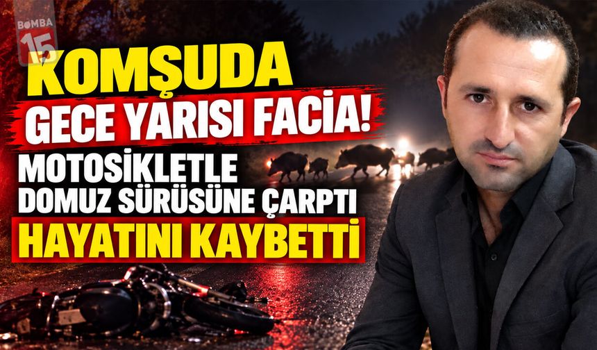 Komşuda Feci Kaza! Domuz Sürüsüne Çarpan Motosikletli Hayatını Kaybetti