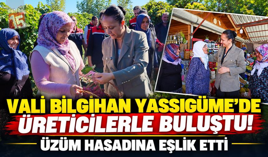 Vali Bilgihan Yassıgüme’de Üreticilerle Buluştu! Üzüm Hasadına Eşlik Etti