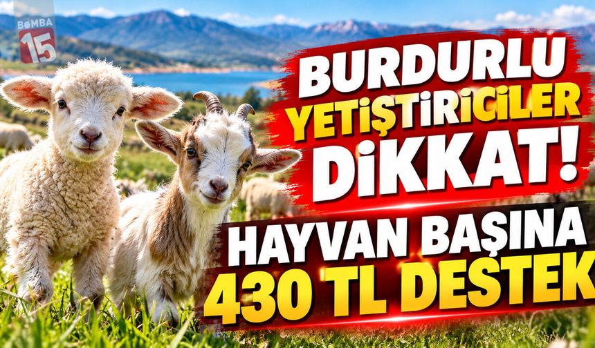 Burdurlu Yetiştiriciler Dikkat! Hayvan Başına 430 TL Destek