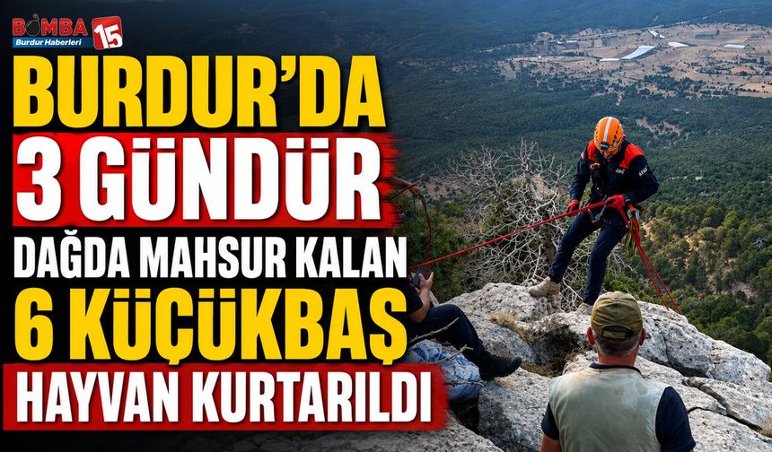 Burdur’da 3 Gündür Dağda Mahsur Kalan 6 Küçükbaş Hayvan Kurtarıldı