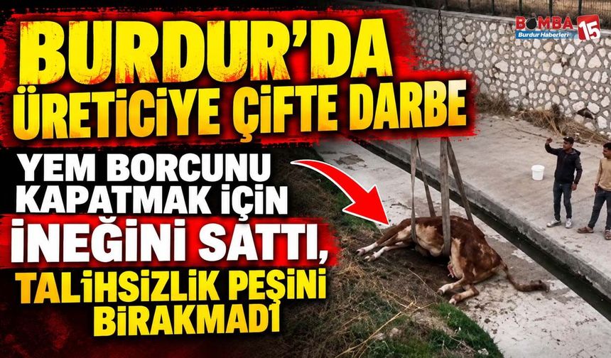 Burdur’da Üreticiye Çifte Darbe: Yem Borcunu Kapatmak İçin İneğini Sattı, Talihsizlik Peşini Bırakmadı