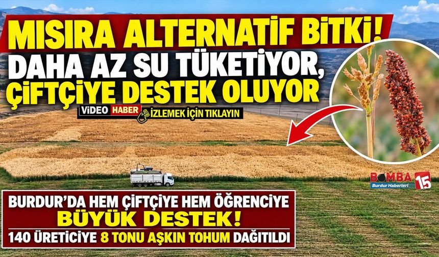 Burdur’da Hem Çiftçiye Destek Hem Suya Tasarruf! 900 Dekarda Alternatif Yem Bitkisi Üretildi